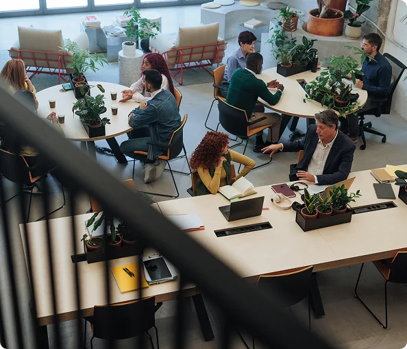 Rectangle 24435 image not found...!