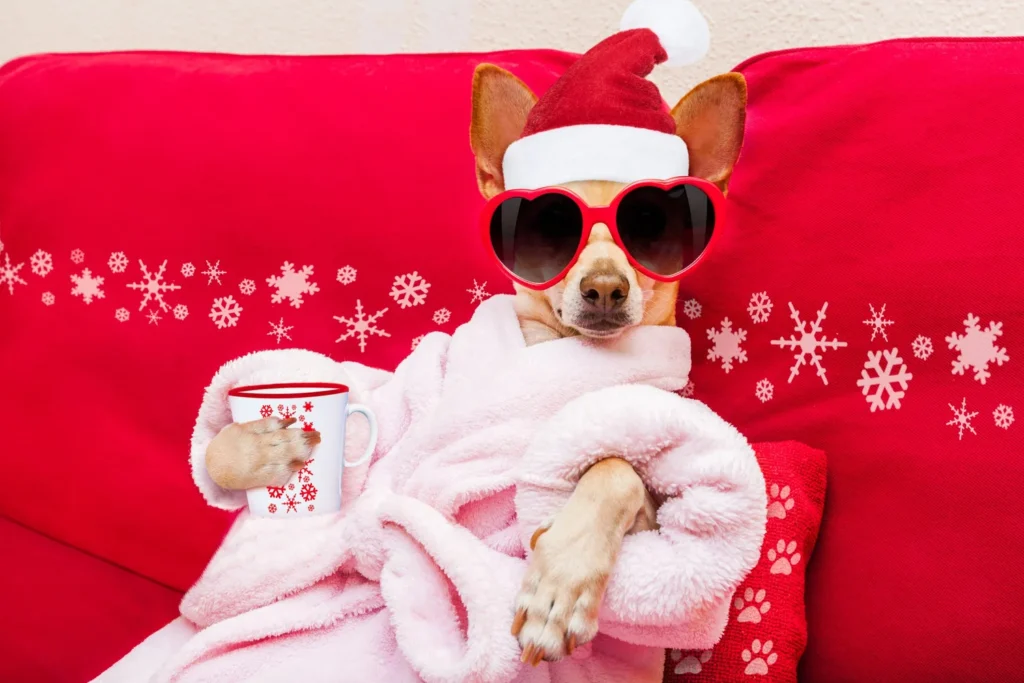 How to maintain your well-being over the holiday season