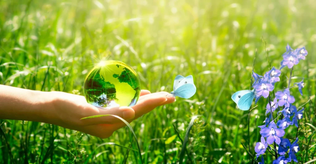 5 Key Insights to Employee Workplace Wellbeing